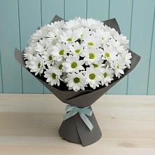 Букет цветов из:  Хризантемы в Поселок санатория Озеро Белое