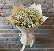 Букет цветов из:  Ромашки #REPLACE_PRED# Поселок санатория Озеро Белое