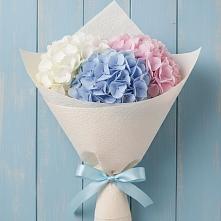 Букет цветов из:  Гортензия в Поселок санатория Озеро Белое