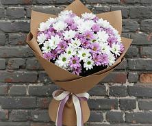 Букет цветов из:  Хризантемы #REPLACE_PRED# Поселок санатория Озеро Белое