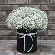 Цветочная композиция из Гипсофила в шляпной коробке в Поселок санатория Озеро Белое