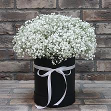 Цветочная композиция из Гипсофила в шляпной коробке в Поселок санатория Озеро Белое