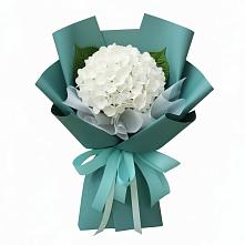 Букет цветов из:  Гортензия в Поселок санатория Озеро Белое